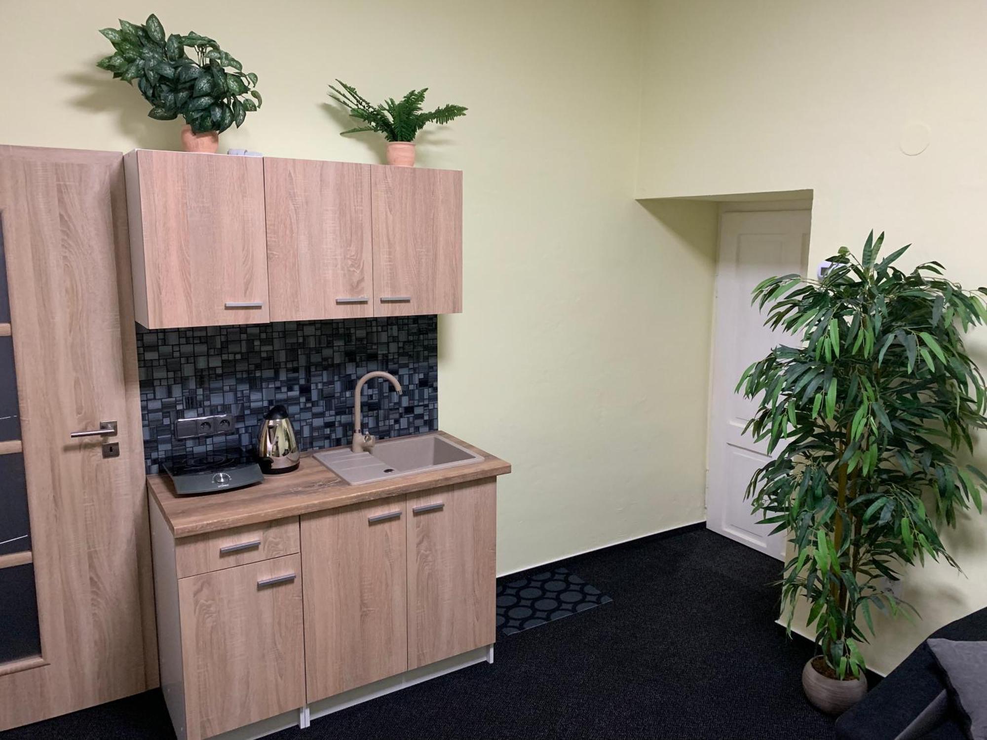 Apartman Alesta Bruntál Zewnętrze zdjęcie